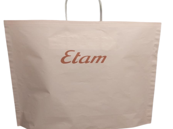 GIFT PAPER BAGS WITH TWISTED HANDLE AND FLAT HANDLE